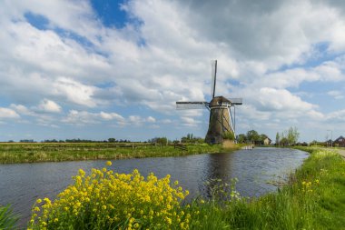 Geleneksel Hollanda yel değirmeni yeşil tarlaları ve sarı kolza tohumu çiçekleri olan bir kanalın yanında duruyor