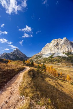 İtalyan Dolomitlerinde sonbahar otları ve karaçam ağaçları arasında giden dolambaçlı bir yol.