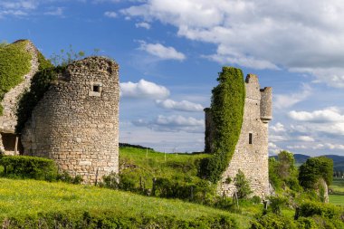 Fransa 'nın Saone et Loire şehrinde mavi bir gökyüzünün altındaki yeşil bir yamaçta taş kale harabeleri duruyor.