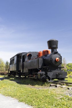 Eski siyah buharlı lokomotif ve vagon yeşil çimenler ve mavi gökyüzü ile raylarda duruyordu.