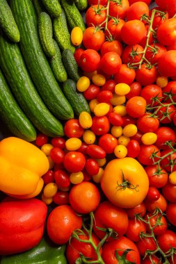 Taze toplanmış kırmızı, sarı ve yeşil sebzeler canlı, sağlıklı bir kompozisyonda dizilmiş.