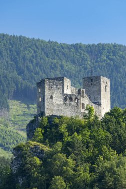Strecno Kalesi açık mavi gökyüzüne karşı yemyeşil ormanlı kayalık bir tepenin üzerinde duruyor.