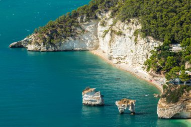 Kireçtaşı kayalıkları ve yeşil bitki örtüsü, İtalya 'nın Apulia kentindeki Vignanotica plajında açık mavi denizde buluşuyor.