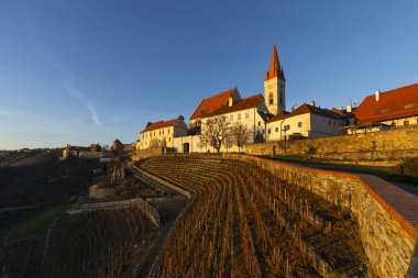 Sıcak akşam ışığında yamaçta üzüm bağları olan tarihi Znojmo kasabası