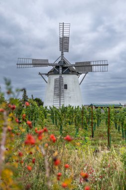 Tarihsel Retz yel değirmeni bulutlu bir gökyüzü altında yeşil üzüm bağlarına tepeden bakan