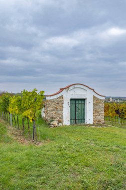 Geleneksel şarap mahzeni binası Zellerndorf, Aşağı Avusturya 'da canlı bir sonbahar bağında duruyor.