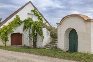 Geleneksel şarap mahzenleri, tarihi Aşağı Avusturya şarap bölgesinde kırsal bir yol çiziyor