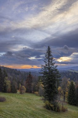 Oravska Lesna, Slovakya 'da sonbahar ağaçları ve yamaçlar sıcak ışıkla çarpıcı bir gökyüzüne karşı