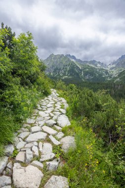 Dağ taşı yolu yeşil yamaçları aşıyor ve bulutlu gökyüzünün altında yüksek tepelere ulaşıyor.