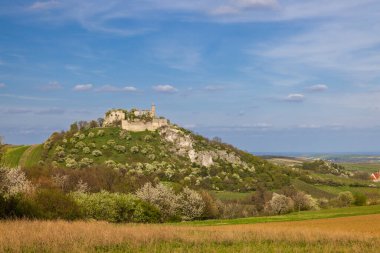 Aşağı Avusturya, Avrupa 'da çiçek açan bahar manzarasına bakan şato harabeleri