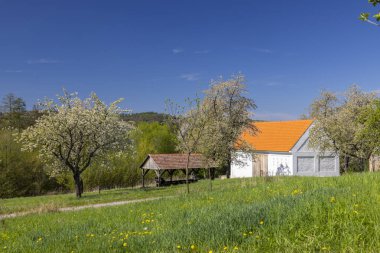 Kırsal bina açık mavi gökyüzünün altında çiçek açan elma ağaçlarıyla yeşil bir alanda duruyor.