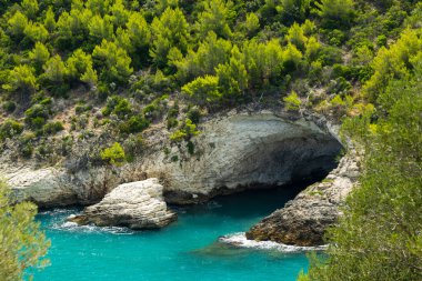 Turkuvaz suyu ve yeşil Akdeniz bitkileriyle kayalık kıyı şeridi boyunca uzanan deniz mağarası.
