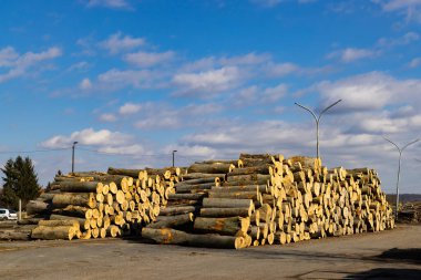 Kereste kütükleri mavi gökyüzünün altındaki ahşap işleme deposunda büyük bir yığın halinde istiflenmiş.