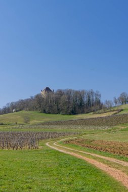 Üzüm bağları, yeşil tarlalar ve tepedeki Şato de Montain manzarası