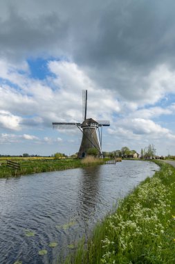 Yeşil Hollanda kırsalında sakin bir kanalın yanında duran yel değirmeni