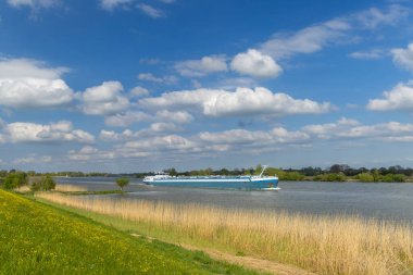 Kargo gemisi mavi gökyüzünün altında sarı çiçeklerle bir hendek boyunca yol alıyor.