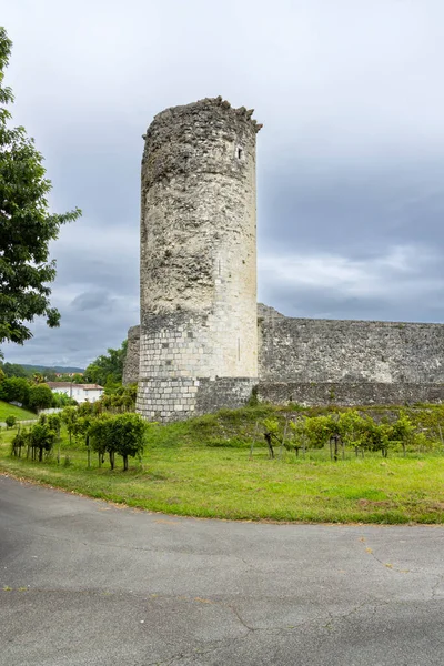 Bellocq Kalesi harabesi Fransa 'da bir yol ve yeşil üzüm bağının yanında duruyor.