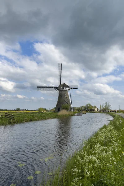 Yeşil Hollanda kırsalında sakin bir kanalın yanında duran yel değirmeni
