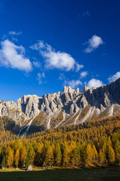 Dolomite dağları, İtalya 'nın Livinallongo del Col di Lana şehrinde sonbaharda altın tarla ağaçlarının üzerinde durur.