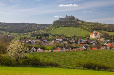 Avusturya 'daki Falkenstein köyünde antik kale harabeleri, kilise, çiçek açan ağaçlar ve mavi gökyüzünün altındaki bahar üzüm bağları yer alıyor.