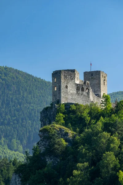 Strecno Kalesi, Slovakya, açık gökyüzünün altındaki ormanlık alanı gösteriyor.