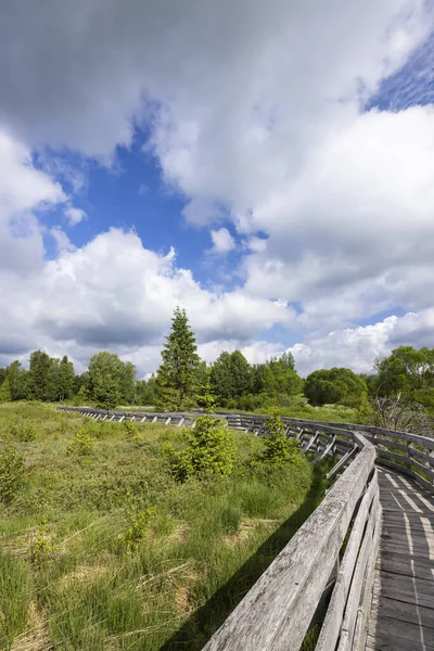 Tahta kaldırım Bieszczady 'de bulutlu bir gökyüzünün altındaki yeşil turba bataklığında kıvrılıyor.
