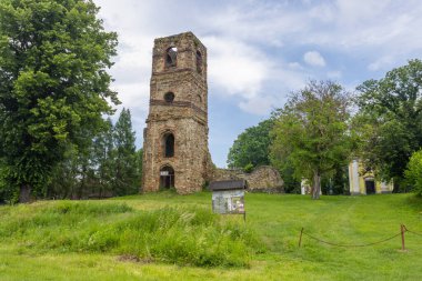 Slovakya 'da antik bir tarihi mekan olan çimenli tepede duran taş yıkıntısı kulesi.