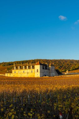 Fransa, Cote d 'Or' daki canlı sonbahar renkli üzüm bağları arasında ünlü Chateau de Vougeot