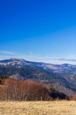 Fransa 'da açık mavi gökyüzü altında Ardeche dağlarını, ormanlarını ve kuru otlakları gösteren manzara