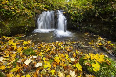 Şelale, renkli sonbahar yapraklarıyla çevrili kayaların üzerinde huzur dolu bir Hac doğa sahnesinde çağlıyor.