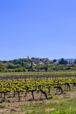 Puymeras köyü açık bir bahar gökyüzünün altında genç yeşil üzüm bağlarının üzerinde yer alır.