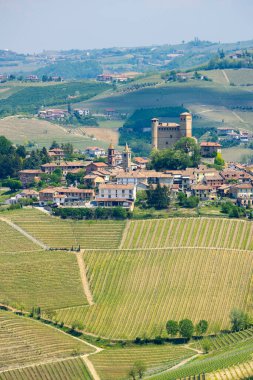 Monforte d 'Alba köyü, kale ve kilisesinin yer aldığı yuvarlak Piedmont tepelerinin arasında yer alır.