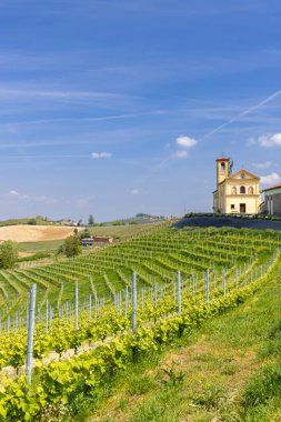 Teraslı üzüm bağları ve klasik İtalyan şarap bölgesi manzarası yaratan bir köy kilisesi.