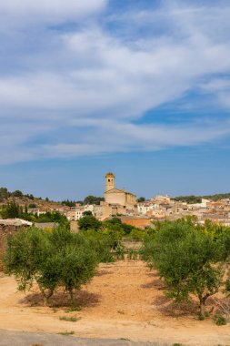 Katalonya, İspanya 'daki Blancafort köyünün binaları, mavi gökyüzünün altında büyüyen zeytin ağaçları.