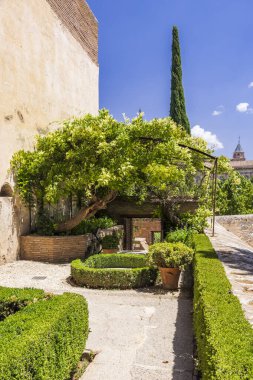 Ancient wall framing lush green hedges and a vibrant tree in a Spanish summer garden