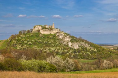 Falkenstein Kalesi, Aşağı Avusturya 'da çiçek açan bir bahar vadisine tepeden bakan harabeler.