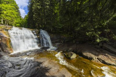 Mumlava şelalesi suyu, Çek Cumhuriyeti 'ndeki yemyeşil ormanlarla çevrili pürüzsüz kaya oluşumlarının üzerinden akıyor.