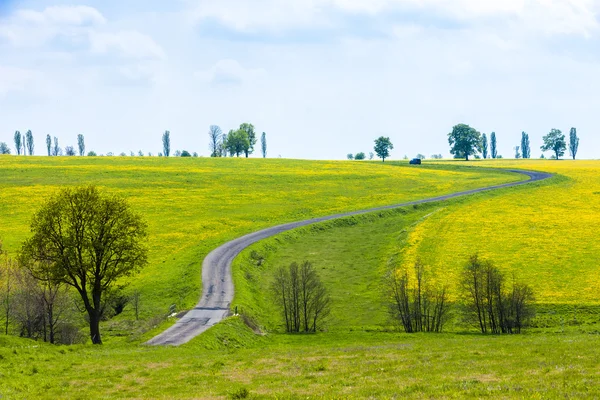 目印とする道路、チェコ共和国の春の風景 — ストック写真