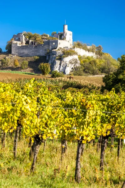 Ruines du château de Falkenstein avec vignoble en automne — Photo