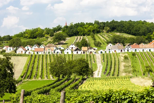 Weinkeller mit Weinbergen, Galgenberg, Niederösterreich — Stockfoto