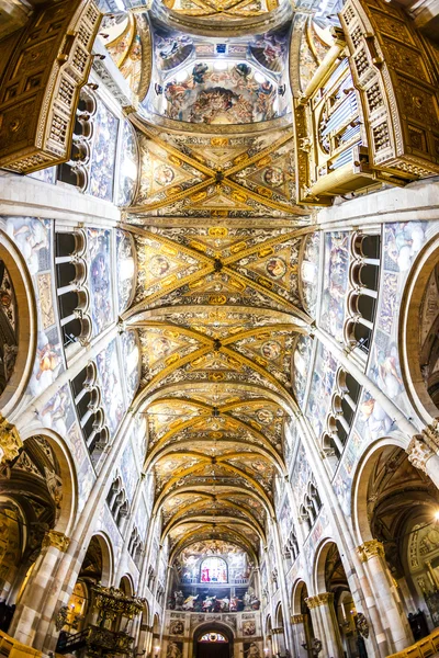 Interior de la Catedral de Parma, Emilia-Romaña — Foto de Stock