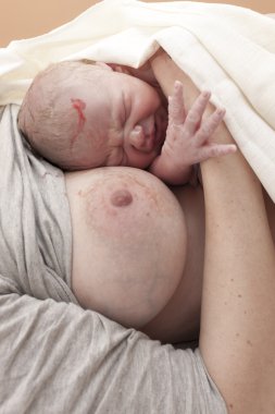 Meme için yeni doğmuş bir bebeğin doğumdan sonra döşeme