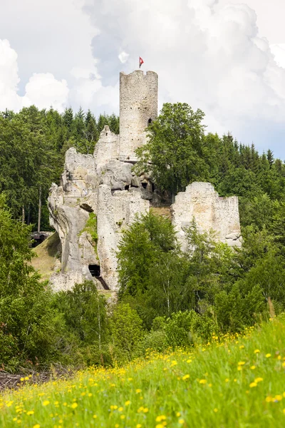 Ruins of Frydstejn Castle — Stock Photo, Image