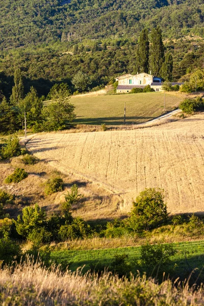 Feld, Rhone-Alpen, Frankreich — Stockfoto