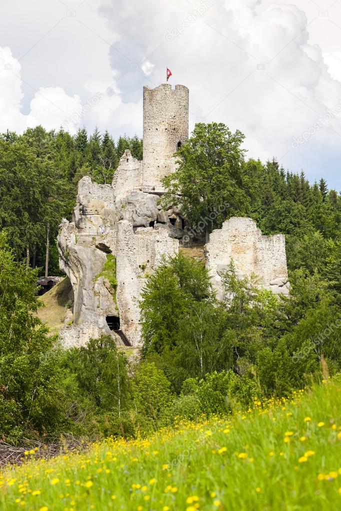ruins of Frydstejn Castle