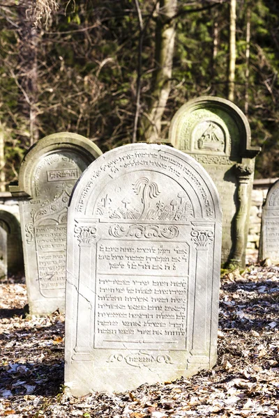 Jüdischer Friedhof, Luze — Stockfoto