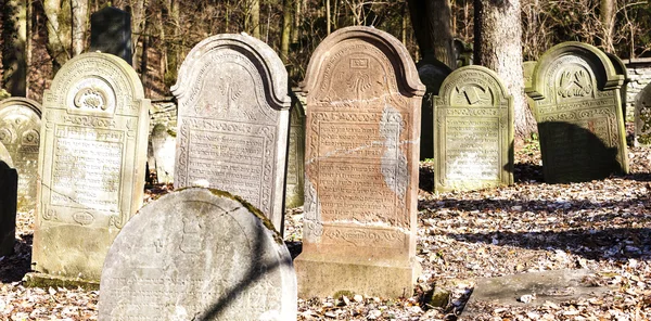 Židovský hřbitov, Luže, Česká republika — Stock fotografie