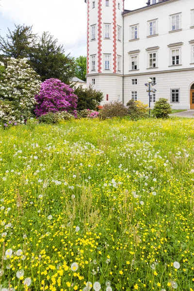 Palace Vrchlabi with garden, Czech Republic — Stock Photo, Image