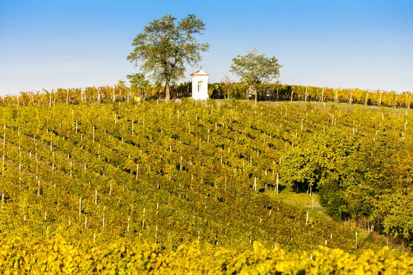 God's torture with autumnal vineyard, Modre Hory — Stock Photo, Image