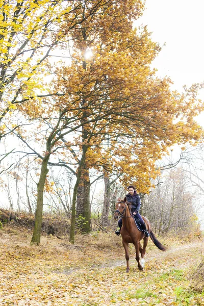 Equestrian on horseback in autumnal nature — Stock Photo, Image